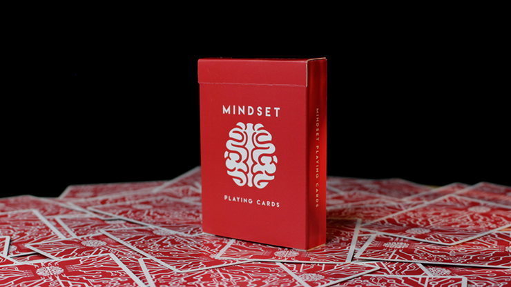 Mindset Secrets by Anthony Stan