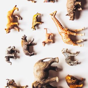 Noah's Ark Prop-less Animal Guess by Fraser Parker