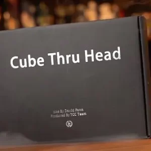 Cube Thru Head by David Penn