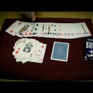 ACAAN Bundle by Carl Irwin