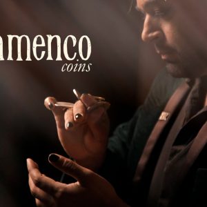 Flamenco Coins by Brendan Rodrigues