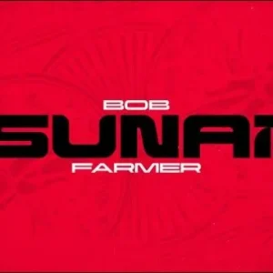 Tsunami by Bob Farmer