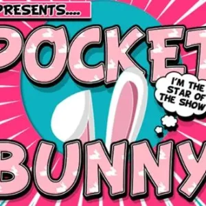 Pocket Bunny by Lee Alex