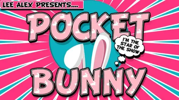 Pocket Bunny by Lee Alex