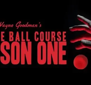 Wayne Goodman - Sponge Ball Course Lesson 1