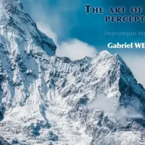 The Art of Shaping Perceptions (Impromptu Mentalism) by Gabriel Werlen