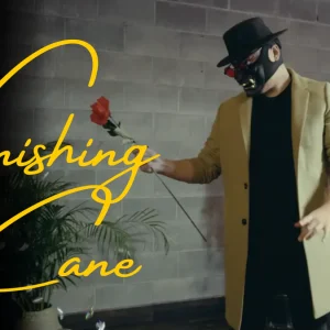 Bojan Barisic - The Vanishing Cane