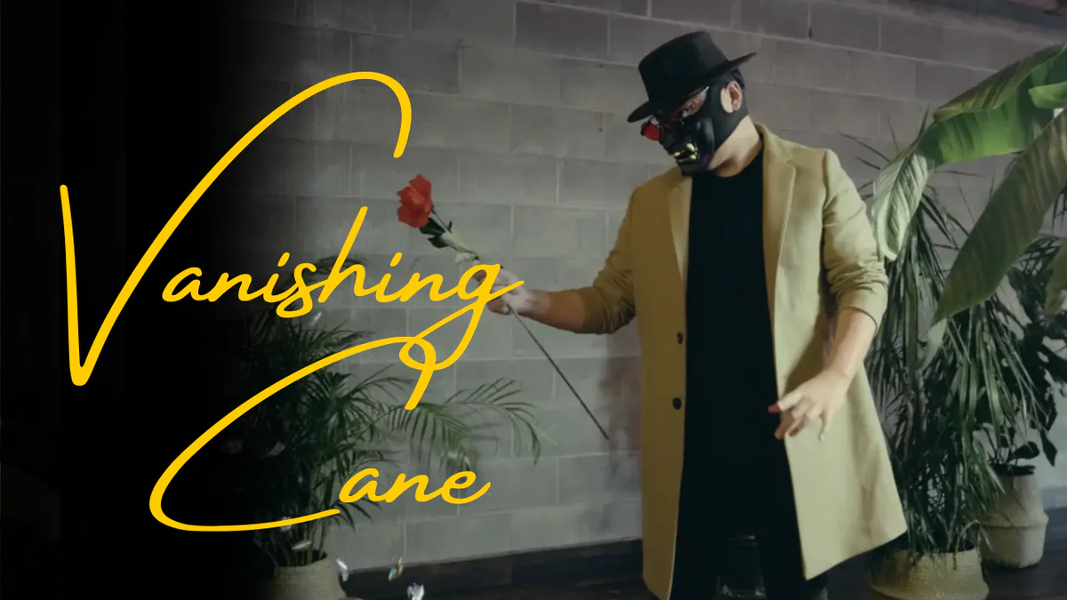 Bojan Barisic - The Vanishing Cane