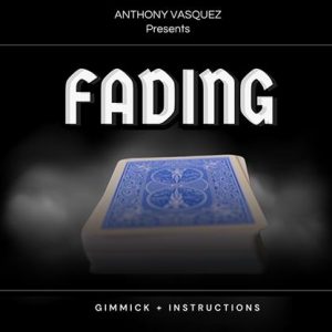 Fading by Anthony Vasquez