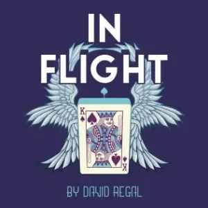 In Flight by David Regal