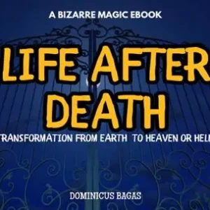 Life After Death by Dominicus Bagas