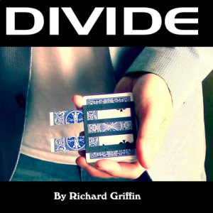 Divide by Richard Griffin