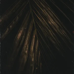 Lewis Le Val - Natural Magic