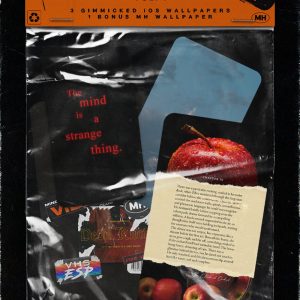 Ritual Interface Vol. 1