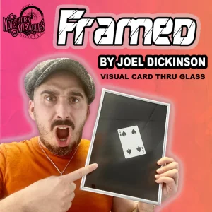 FRAMED by Joel Dickinson