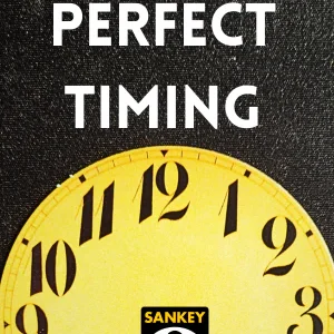 Jay Sankey - Perfect Timing