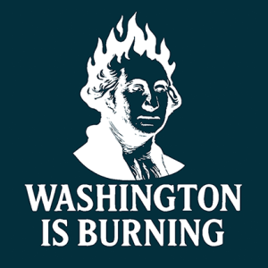Washington is Burning by Ty Gallenbeck