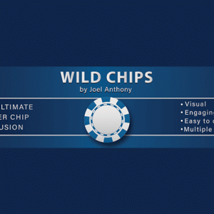 Wild Chips by Joel Anthony