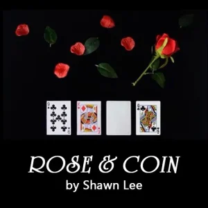 Rose Coin by Shawn Lee