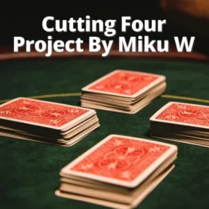 Cutting Four Project By Miku W