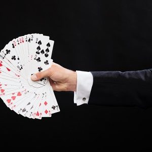 Math and Magic 1-12 (Video+PDF)