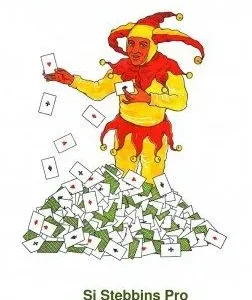 Si Stebbins Pro by Dr. Hans-Christian Solka