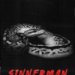 Sinnerman By Lewis Le Val