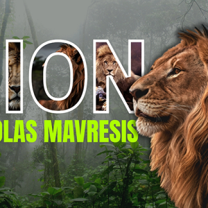 Lion by Nikolas Mavresis