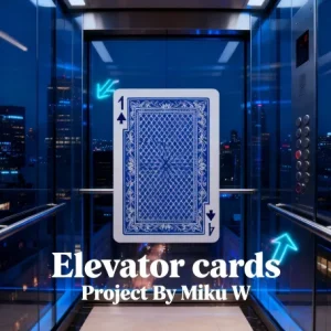 Four Elevators Card Project By Miku W
