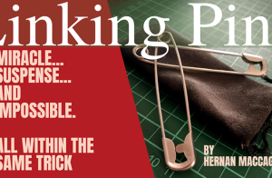 Linking Pins by Hernan Maccagno